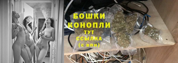 apvp Карпинск