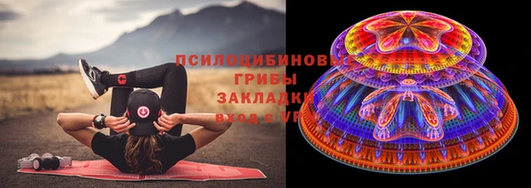 PSILOCYBIN Киреевск