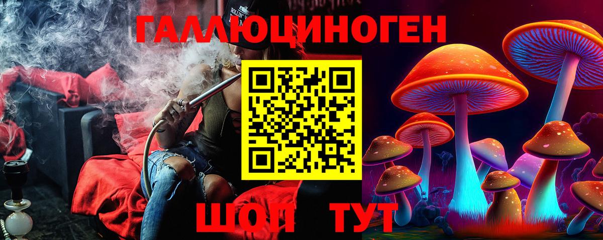 Красный Сулин  Галлюциногенные грибы Psilocybe  как найти наркотики  Вход с VPN 